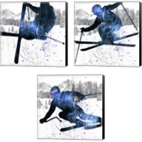 Framed 'Extreme Skier 3 Piece Canvas Print Set' border=