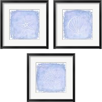 Framed Blue Sealife 3 Piece Framed Art Print Set