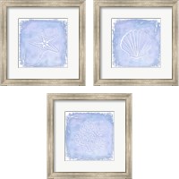 Framed 'Blue Sealife 3 Piece Framed Art Print Set' border=