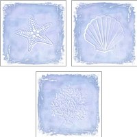 Framed 'Blue Sealife 3 Piece Art Print Set' border=
