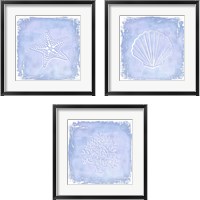 Framed 'Blue Sealife 3 Piece Framed Art Print Set' border=