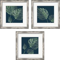 Framed 'Monstera  3 Piece Framed Art Print Set' border=