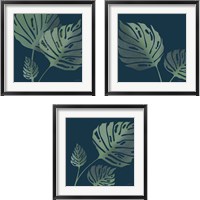 Framed 'Monstera  3 Piece Framed Art Print Set' border=