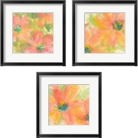 Framed 'Tinted Cosmos 3 Piece Framed Art Print Set' border=