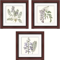 Framed 'Graceful Botanical 3 Piece Framed Art Print Set' border=