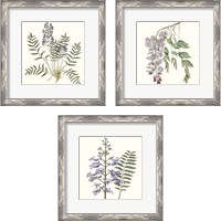 Framed Graceful Botanical 3 Piece Framed Art Print Set