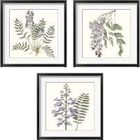 Framed 'Graceful Botanical 3 Piece Framed Art Print Set' border=