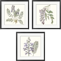 Framed Graceful Botanical 3 Piece Framed Art Print Set