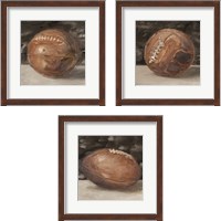 Framed 'Vintage Leather 3 Piece Framed Art Print Set' border=