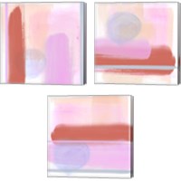 Framed 'Translucent Madras 3 Piece Canvas Print Set' border=