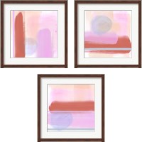 Framed 'Translucent Madras 3 Piece Framed Art Print Set' border=