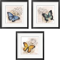 Framed Shadow Box Butterfly 3 Piece Framed Art Print Set