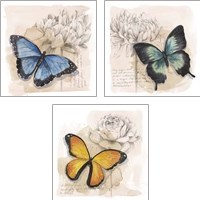 Framed Shadow Box Butterfly 3 Piece Art Print Set