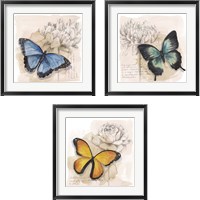 Framed Shadow Box Butterfly 3 Piece Framed Art Print Set