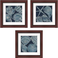 Framed 'Marine Shells 3 Piece Framed Art Print Set' border=