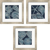 Framed 'Marine Shells 3 Piece Framed Art Print Set' border=