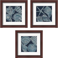 Framed Marine Shells 3 Piece Framed Art Print Set