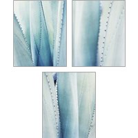Framed Pale Blue Agave 3 Piece Art Print Set