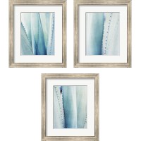 Framed Pale Blue Agave 3 Piece Framed Art Print Set