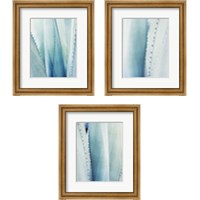 Framed 'Pale Blue Agave 3 Piece Framed Art Print Set' border=