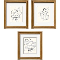 Framed 'Cattywampus  3 Piece Framed Art Print Set' border=