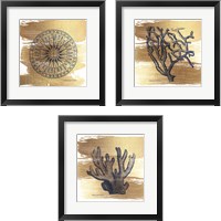 Framed 'Brushed Gold Nautical 3 Piece Framed Art Print Set' border=