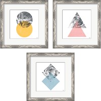 Framed 'Blossoms  3 Piece Framed Art Print Set' border=