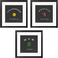 Framed Cabin Life 3 Piece Framed Art Print Set