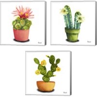 Framed 'Cactus Flowers 3 Piece Canvas Print Set' border=