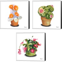 Framed Cactus Flowers 3 Piece Canvas Print Set