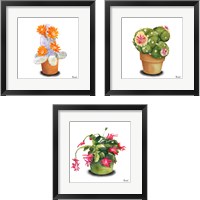 Framed 'Cactus Flowers 3 Piece Framed Art Print Set' border=