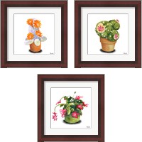 Framed 'Cactus Flowers 3 Piece Framed Art Print Set' border=