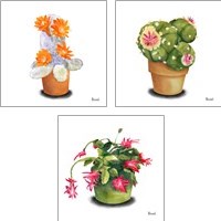 Framed 'Cactus Flowers 3 Piece Art Print Set' border=