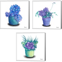 Framed 'Turquoise Succulents 3 Piece Canvas Print Set' border=