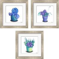 Framed Turquoise Succulents 3 Piece Framed Art Print Set
