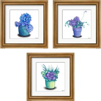 Framed 'Turquoise Succulents 3 Piece Framed Art Print Set' border=