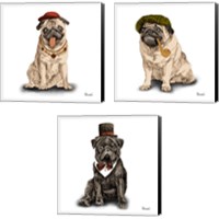 Framed 'Pugs in Hats 3 Piece Canvas Print Set' border=