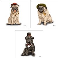 Framed 'Pugs in Hats 3 Piece Art Print Set' border=