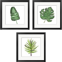 Framed Leaves of the Tropics  3 Piece Framed Art Print Set