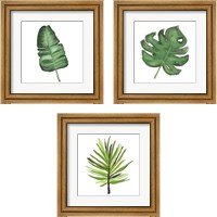 Framed 'Leaves of the Tropics  3 Piece Framed Art Print Set' border=