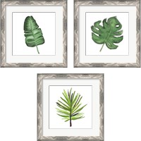 Framed 'Leaves of the Tropics  3 Piece Framed Art Print Set' border=