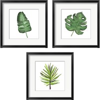 Framed 'Leaves of the Tropics  3 Piece Framed Art Print Set' border=