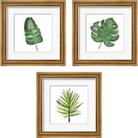 Framed 'Leaves of the Tropics  3 Piece Framed Art Print Set' border=