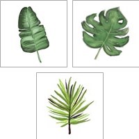 Framed 'Leaves of the Tropics  3 Piece Art Print Set' border=