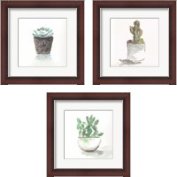 Framed 'Watercolor Cactus Still Life 3 Piece Framed Art Print Set' border=