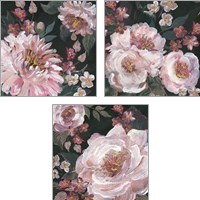 Framed Romantic Moody Florals on Black 3 Piece Art Print Set