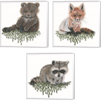 Framed 'Baby Forest Animal 3 Piece Canvas Print Set' border=