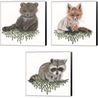 Framed 'Baby Forest Animal 3 Piece Canvas Print Set' border=