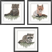 Framed 'Baby Forest Animal 3 Piece Framed Art Print Set' border=