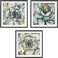 Framed Bloom 3 Piece Framed Art Print Set